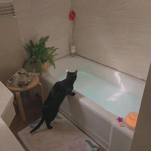 米奇狠狠去哪拉
